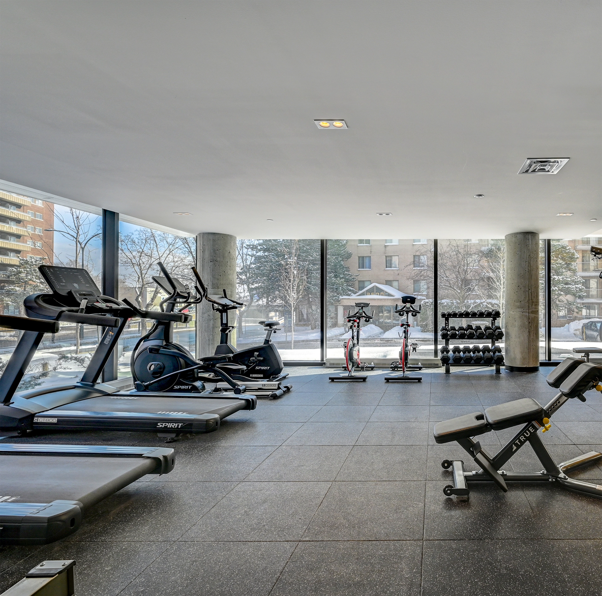 gym-citizia-2026